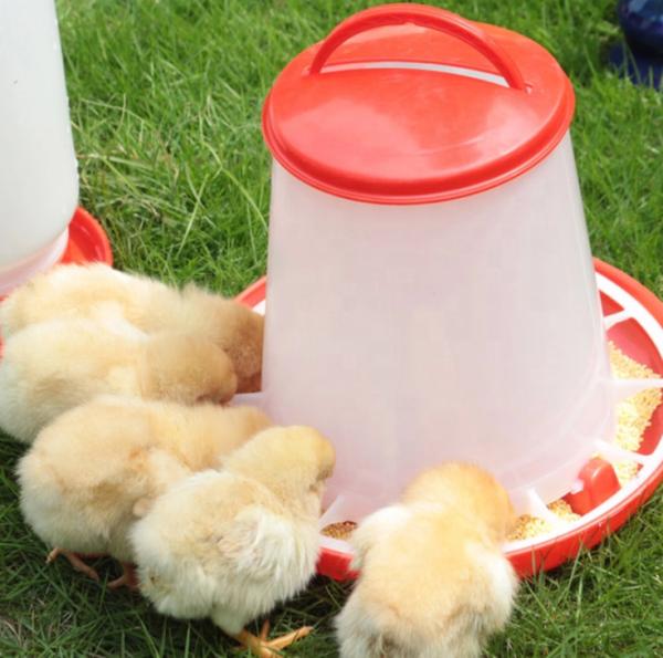 Linha de alimentação de frango para beber 1kg-20kg para frangos de corte alimentador automático