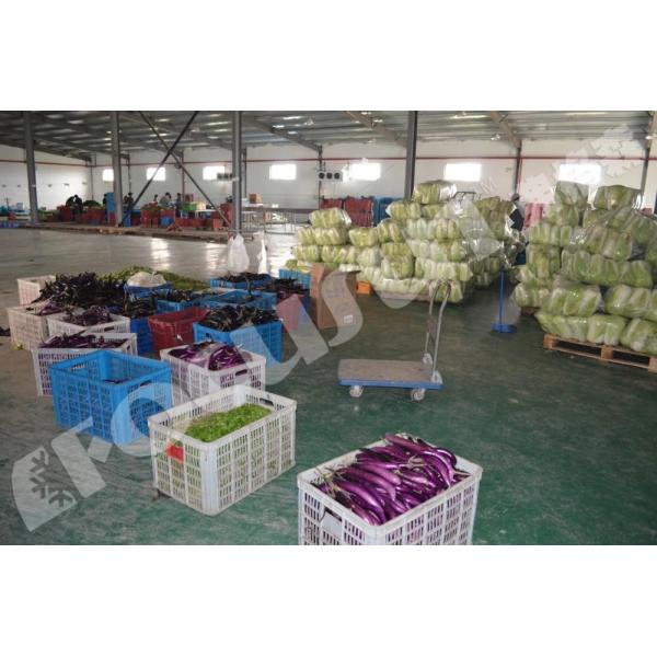 Фокусун вакуумное охлаждающее оборудование для фруктов и овощей 380V/3Ph/50Hz напряжение