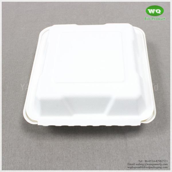 Green And Energy 8*8 And 9*9 Inch1-Compartment, Compostable Clamshell, Natural Bagasse Take-Out/To-Go Food Boxes