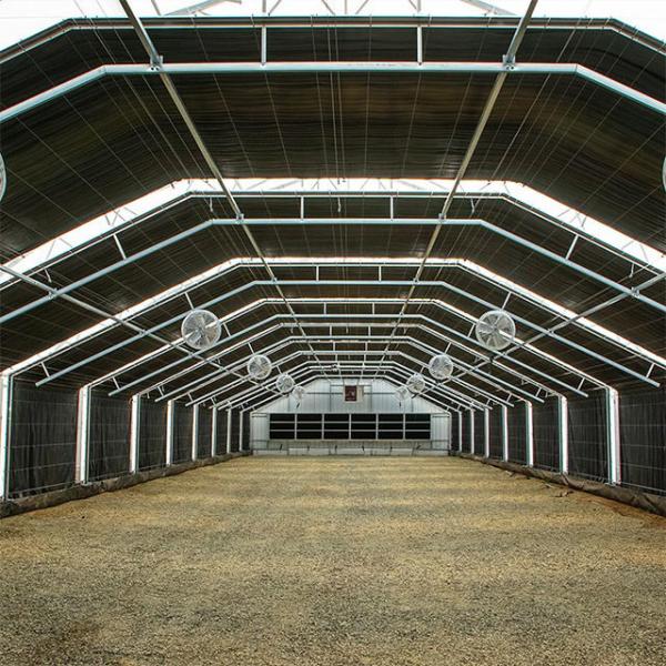 Blackout Mushroom Single-span Tunnel Light Deprivation Greenhouse For Agriculture