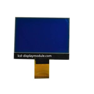 Graphic LCD Module