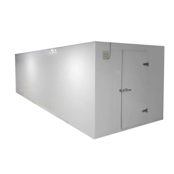 Supermarket Big Warehouse Cold Room / Frozen Beef Meat Freezer Room