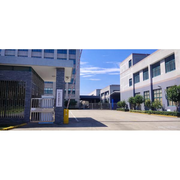 BEE STAR TO GLORIFY YOUR WONDERFUL HONEY LIFE