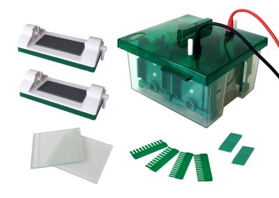 1～4 Pieces Gel Amount Polyacrylamide Gel Electrophoresis Apparatus Jy-mini-p4