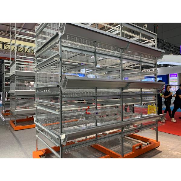 Galvanized Wrie Laying Hen Cages 160 Birds/Set Egg Collecting