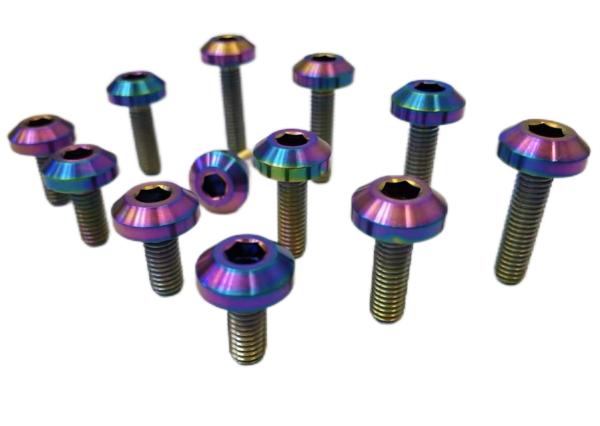 Dished Head Plum Bolt Titanium bolts M24 Titanium Bike Screws