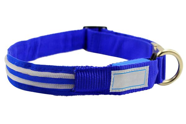 Metal Buckle LED Dog Collar USB Rechargeable Maximize Dog's Visibility