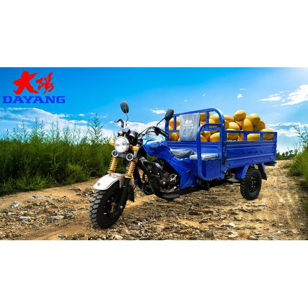 Paraguay Buyers' Must-Have Front Disc Rear Drum Brake System Motorized Tricycles