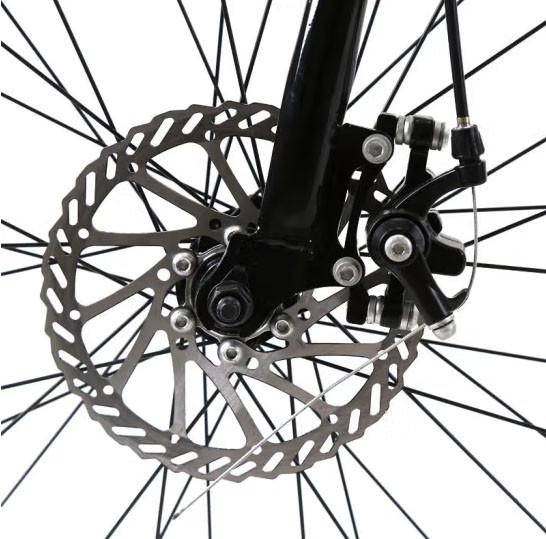 Two Wheel Electric Road Bike Warehouse High Speed 25km/H 750w High Power