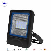 Фабричная цена 10W 20W 30W 50W 100W Высокопроизводительное светодиодное светодиодное освещение с функцией RGB для наружной коммерческой зоны
