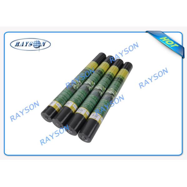 PP Material Non Woven Biodegradable Landscape Fabric For Ground Cover / Anti Weed