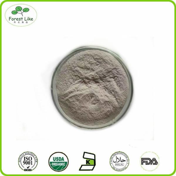 Factory Pure Organic Blueberry P.E. / Pternstilbene20%