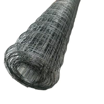 Hot Dipped Galvanized Welded Wire Mesh BWG14-BWG24 for Animal Cage
