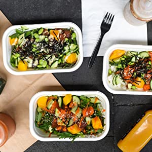 Insulated Pizza Delivery Bag Moisture Free For Catering Food Delivery, Restaurant, Cookouts Red picnic Bags