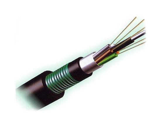 Ethernet Non Metallic Fiber Optic Cable GYTA53 4 8 12 24 48 96 Core Stranded Pair Loose Tube