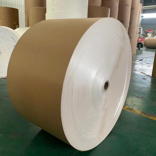 O PE de um Flexo de 210 gramas revestiu o papel no rolo