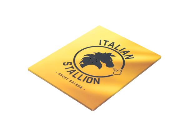Regional Feature Recordable Greeting Cards with Replaceable Batteries and CMYK 4C Printing