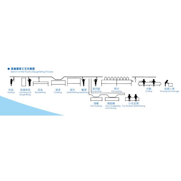Полнофункциональная машина для убоя курицы из нержавеющей стали 304 высокая производительность