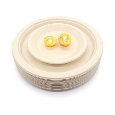 LFGB EU 14cm Handpainted Food Takeaway Boxes 5.5 Inch Round Sugarcane Bagasse Plates