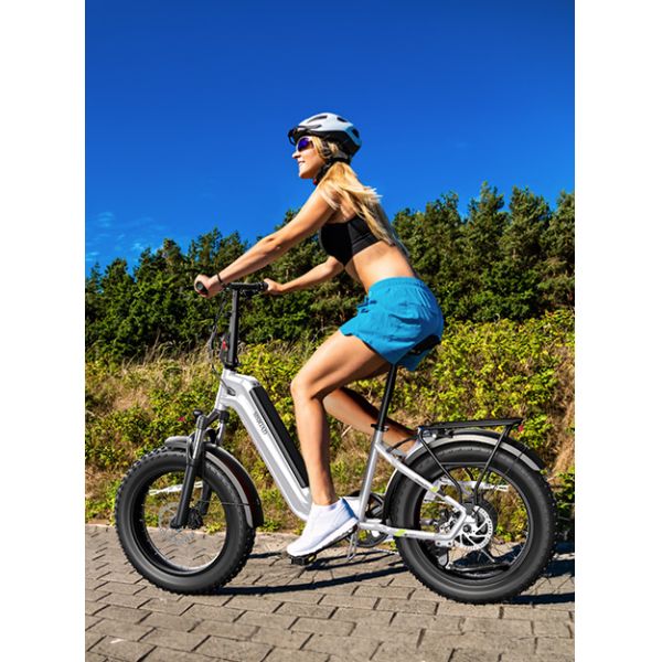 For TST 750w Full Suspension Electric Bicycle 48V 15Ah Integrated Battery All Terrain Fat Tire Folding Ebike