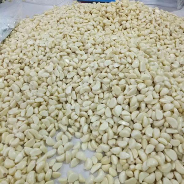 Onion And Garlic Peeling Machine Electric Garlic Peeling Machine Pnuematic Garlic Peel Machine