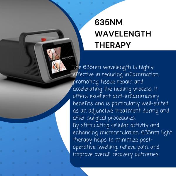 Professional 980nm 1470nm 635nm Diode Laser for EVLT Lipolysis Pain Relief Vascular Removal and Medical Surgical Therapy