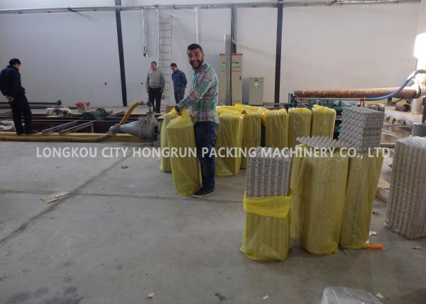 Máquina de molde rotatória da bandeja do ovo da máquina/papelada da caixa de ovo