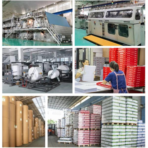 Papel de marfil antiarrugas 210/230/250/270/300gsm FBB/GC1/C1S con celulosa química y estándar