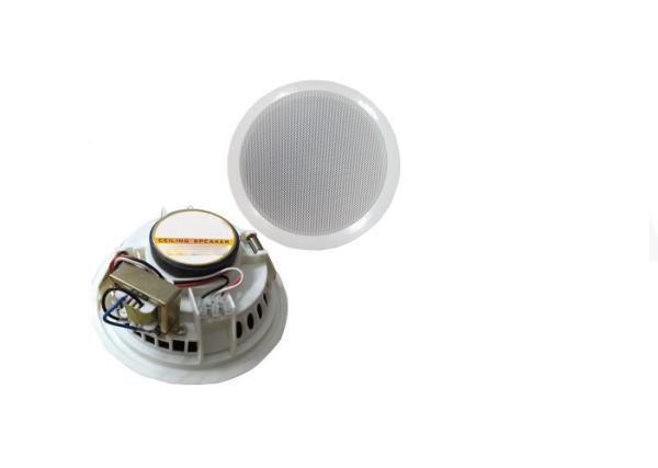 PA Audio System Powerful Portable Speakers Indoor Ceiling 6.5 Inch 6 Watt