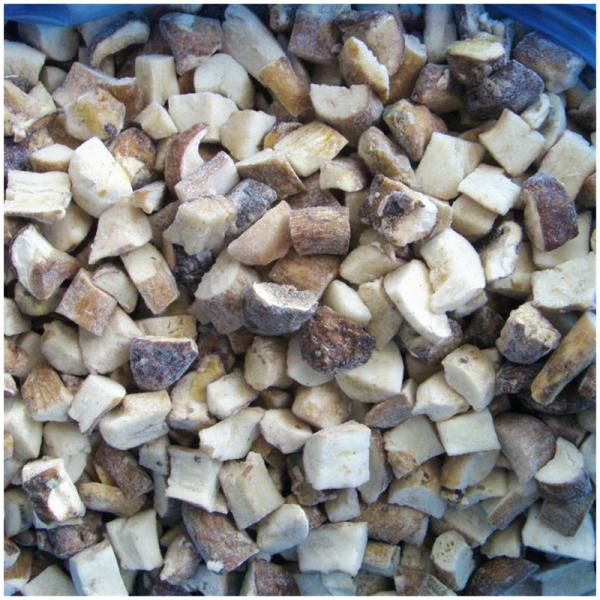 Origem China Venda Quente Iqf Alimento Cogumelo Cultivo Cogumelo Shiitake para Shiitake Congelado