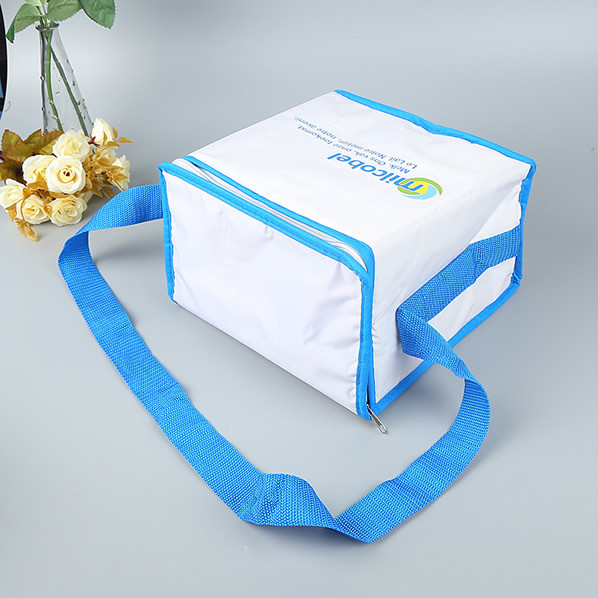 Custom Imprint Bag Grocery Lunch Tote Cooler  Thermal Lunch Cooler Bag, Custom size, weight, design