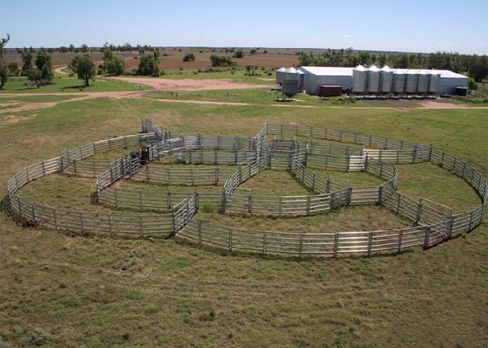 Anti Impact Galvanized Livestock Fence Panels Multi Terrain For Large Cattle / Horse Ranches
