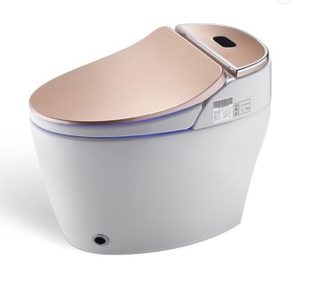 Hidden Suspension Embedded Sanitary Ware Toilet Extended Wall Mounted Water Closet