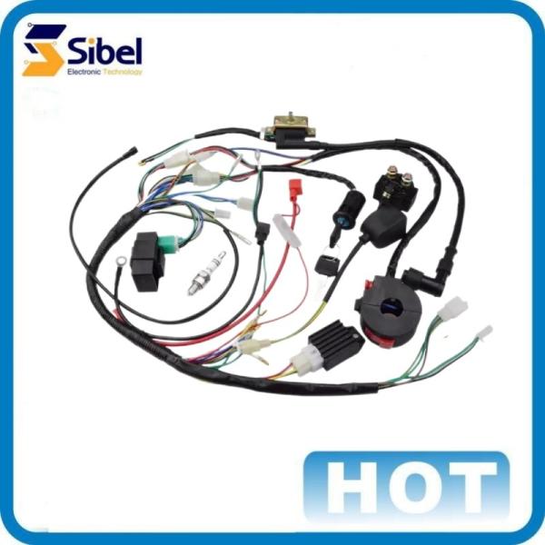 Fuse holder and relay wire harness with Delphi connector Dual Electric Fan Upgrade Wiring Harness For ECU Control