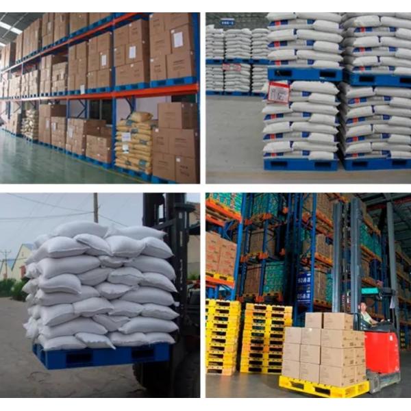 Single Faced HDPE Plastic Pallets / Blue Plastic Pallets 1000kgs 1500kgs 2000kgs Loading