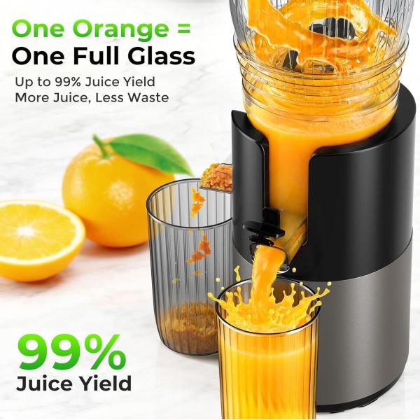 Masticating Juicer Stainless Steel Housing Reverse Mode Low Noise Extraction