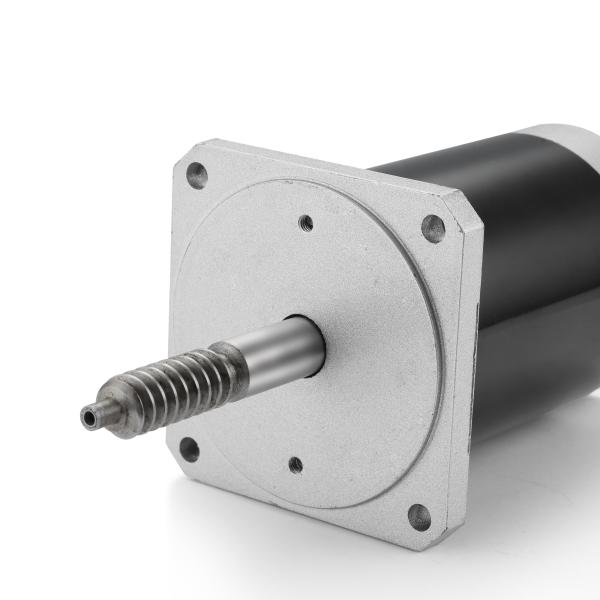 Adjustable Speed and Reverse 24V 100W Brushed DC Motor for Black Industrial Machinery
