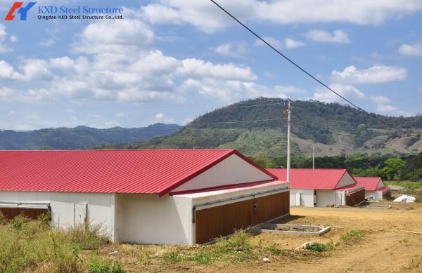 Commercial Poultry House Steel Structure with Feeding and Drinking Systems
