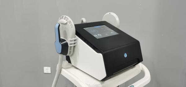 DM-52 Slimming EMS High Frequency Fat Reduction Machine 220V Professional