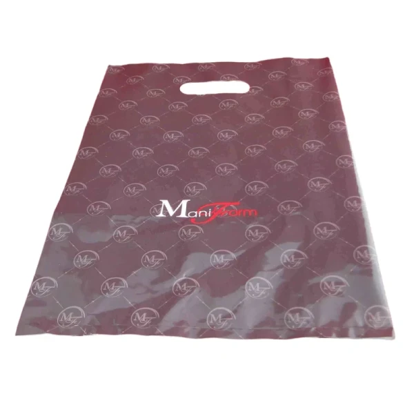 Eco-Friendly Customized Reusable PE Gift Packing Bags for Shopping