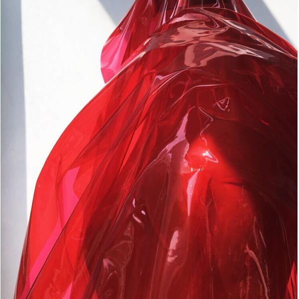 Women'S See Through Windbreaker Waterproof TPU Fabric