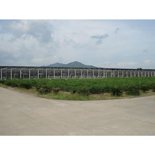 9.6m Tunnel Width Polycarbonate Greenhouse for Sustainable Agricultural Practices