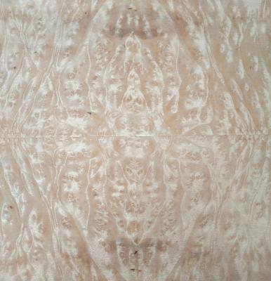Golden Camphor Burl Paper Back Veneer | Paper Backed Golden Camphor Burl Veneer Sheets
