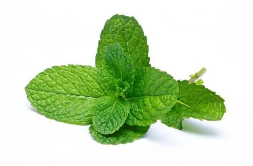 Antinflamación Mentol Materia prima cosmética Complejo de inclusión de ciclodextrina