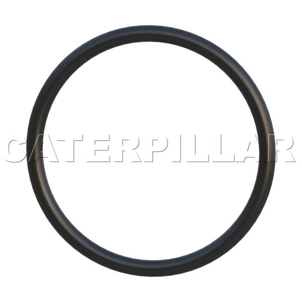 030-6122:リング幼虫