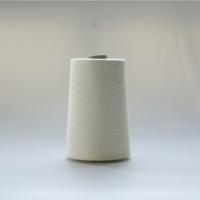 Fio anti-bacteriano especial da fibra de Aramid do meta altamente resistente à temperatura