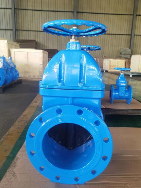 DI PN25 BS5163 Gate Valve 10 Inch Flanged ISO9001 Certifcated