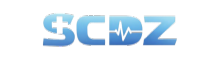 Sichuan Shunchang Electronic Technology Co., Ltd.