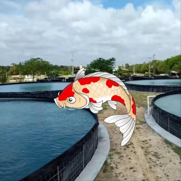 comprimento 50-200m/rolo PVC revestimento de lago 100% PVC virgem adequado para várias aplicações