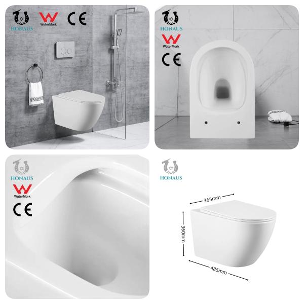Watermark CE Wall Hanging Commode Rimless Water Closet Washdown Type
